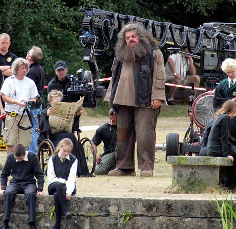 How To Make A Rubeus Hagrid Costume As Seen In The Harry Potter Movies