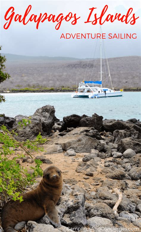 Galapagos Small Ship Cruise: What to Expect - Campfires & Concierges