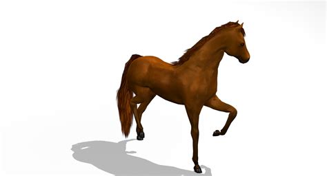 3d model horse animation