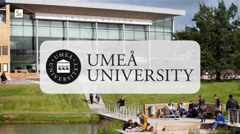 2025 Umea University Scholarship In Sweden Step By Step Process