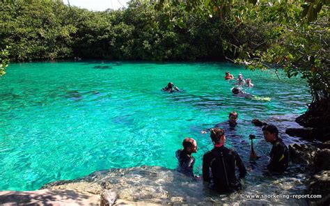 Snorkeling at Casa Cenote, Mayan Riviera | Snorkeling in Mexico