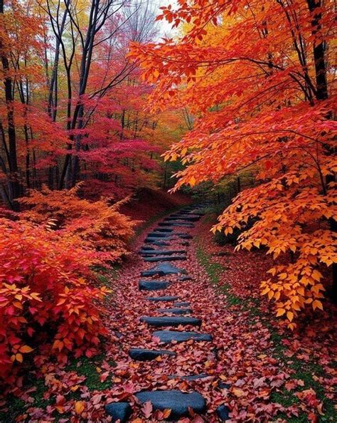pin  suzy brooks  autumn scenery autumn landscape autumn scenery