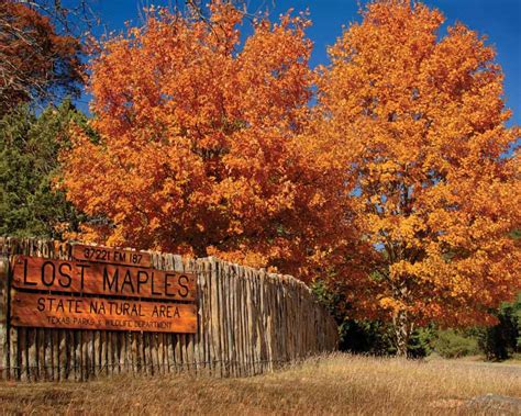 10 Great Hikes In San Antonio And The Hill Country San Antonio Magazine