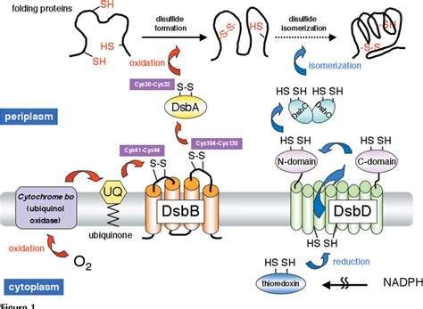 Figure From Diffraction Structural Biology Synchrotron Radiation