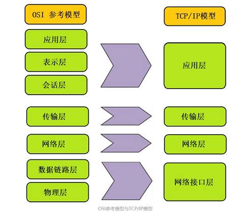 Osi七层模型与tcp协议