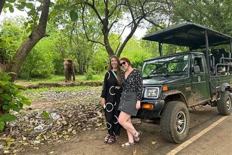 Udawalawe Private Half Day Safari Tour Yala National Park