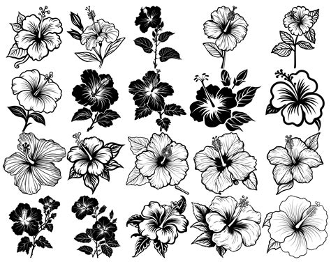 Hibiscus Svg Hawaii Flower Png Clipart Wild Botanical Bouquet For