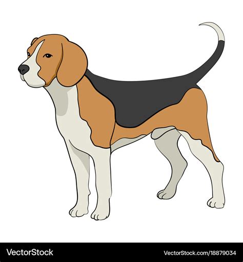 Cartoon of beagle dog Royalty Free Vector Image