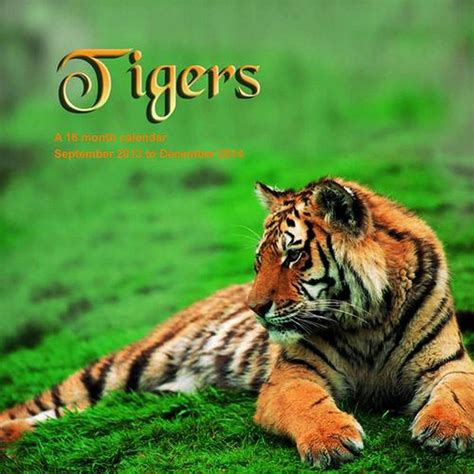 Tigers 2014 Wall Calendar Magnum Calendars 9781617913211 Amazon