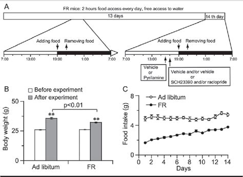 Figure 1 From Dopamine Is Involved In Food Anticipatory Activity In