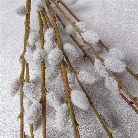 Artifical Pussy Willows Etsy UK