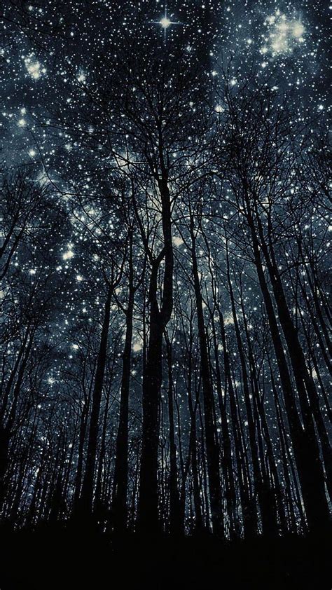 Forest and Stars Wallpapers - Top Free Forest and Stars Backgrounds - WallpaperAccess