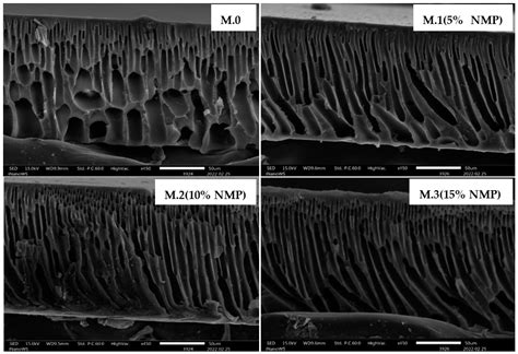 Membranes Free Full Text Delayed Solventnonsolvent Demixing