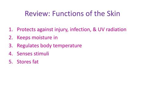 Ppt Homeostasis And The Integumentary System Powerpoint Presentation