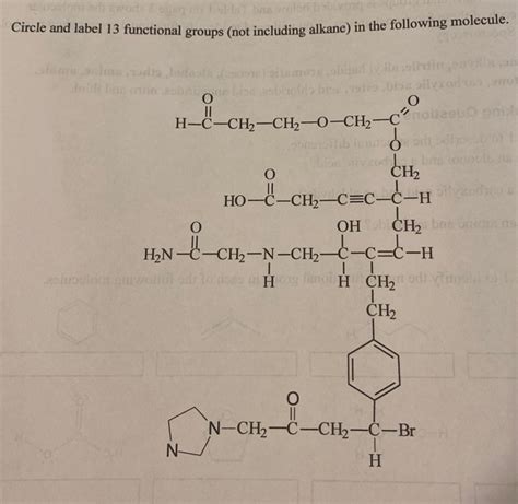 Solved O O H C Ch Ch Ch Collaeus Circle And Label Chegg