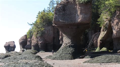 Parc Provincial Des Rochers Hopewell Hopewell Cape Nouve Flickr