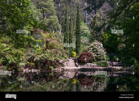 alfred nicholas memorial gardens sherbrooke victoria australia stock