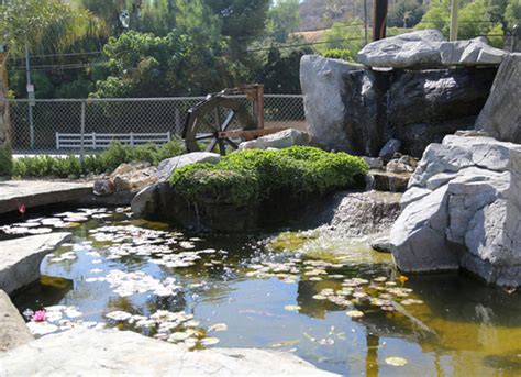 Artificial Rock Pond and Waterfall - Pacific Ponds and Design