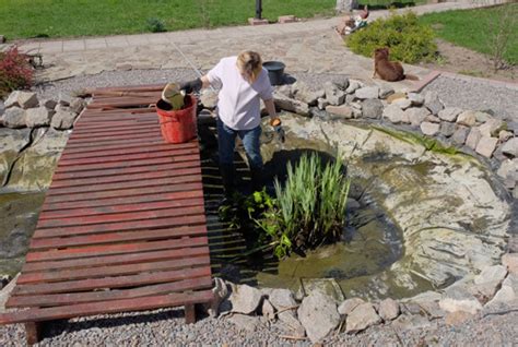 Pond Water Quality Management and Testing for Healthy Koi