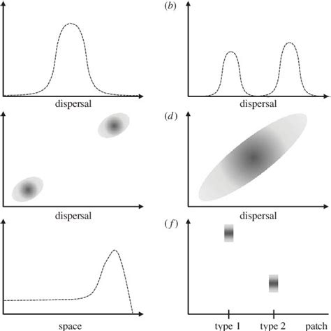 Classes Of Predictions About The Evolution Of Dispersal A The