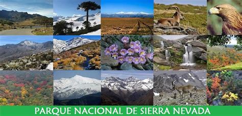 Que Ver En El Parque Nacional De Sierra Nevada Que Visitar En El