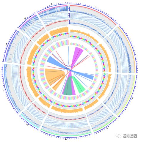 Figdraw 15 Sci 文章绘图之多组学圈图omiccircos 知乎