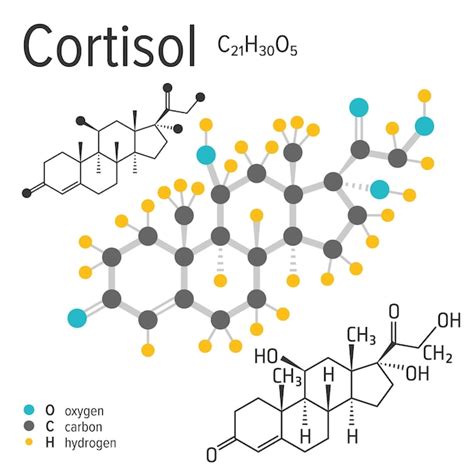 Fórmula Química Da Molécula De Cortisol Vetorial Vetor Premium