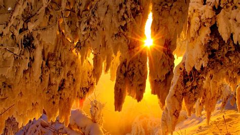 Winter Glow Glow Sun Lovely Sunlight Bonito Winter Cold Nice