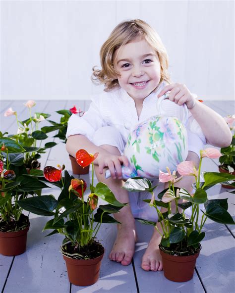 Anthurium_plants_care_tips_flowers_falmingo_flower_flamingo