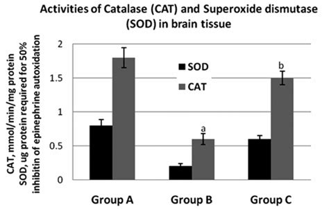 Activities Of Catalase Cat And Superoxide Dismutase Sod In Brain