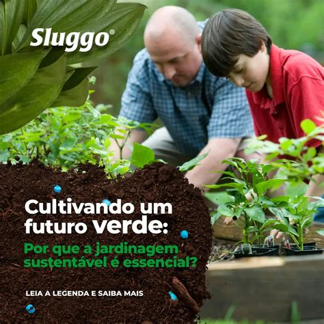 Dicas De Agricultura Sustent Vel Para Uma Colheita Verde E Saud Vel