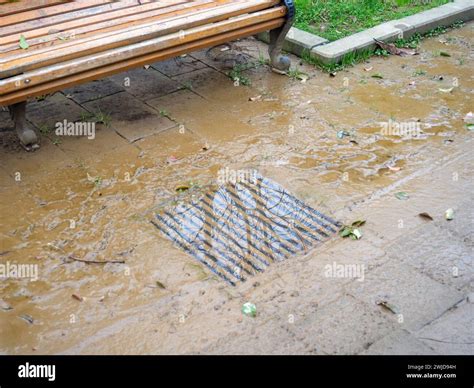 A Storm Drain Filled With Water In A Park Clogged Storm Drain