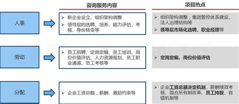 国企改革咨询：国企三项制度改革 国企改革 中大咨询