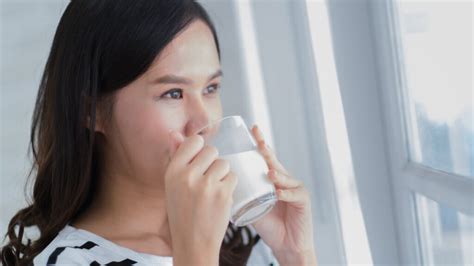 Manfaat Minum Susu Kambing Etawa Sebelum Tidur