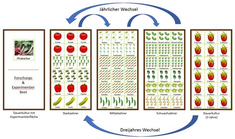 finales beet beispiel Gemüse beet anlegen Garten bepflanzen Garten