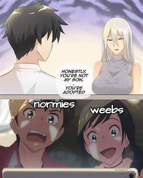 Anime Memes Anime Memes Anime Memes Funny Anime Funny