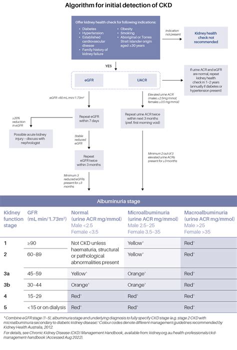 kidney disease acute  chronic sonic bookings