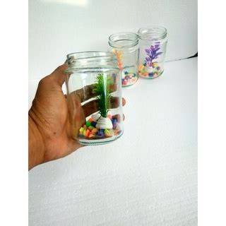 Jual Toples Ikan Cupang Ml Botol Kaca Satu Set Batu Hias Aquarium