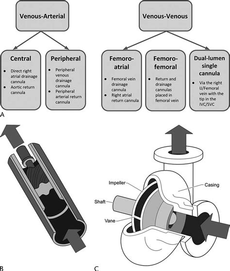 Left Ventricular Assist Device Pump Designs And Flow Characteristics