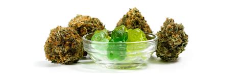 Best Cbd Hemp Gummies Must Read Before You Buy