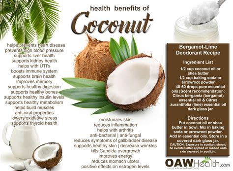 Best Health Benefits Of Coconut Oawhealth