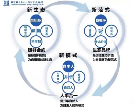 生态为轴，科技为轮，海尔如何驱动创新？财经头条