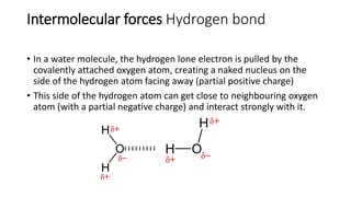 Binding Forces Sb Ppt