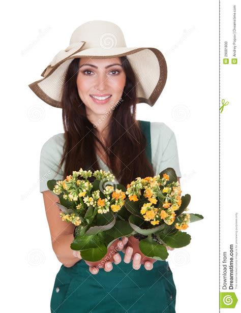 Beautiful Happy Woman Holding Flower Plant Stock Photo Image Of