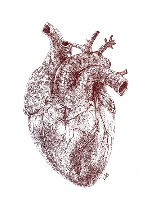 Medical Illustration :: Behance