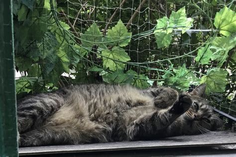 Das Leben genießen - Freitag! Logbuch