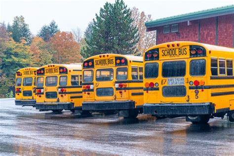 Why Are Most American School Buses Such a Distinct Shade of Yellow ...