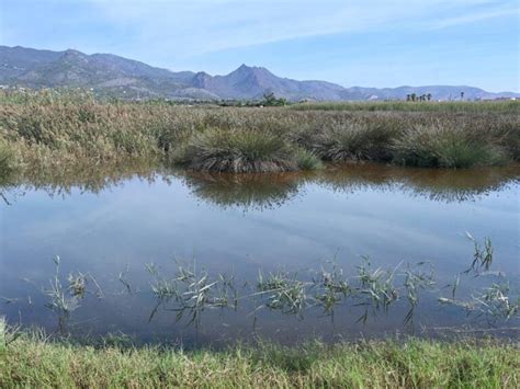 El proyecto de mitigación de la inundabilidad de la zona sur de