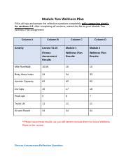 PE 2 08 Module Two Wellness Plan Fill In All Logs And Answer The