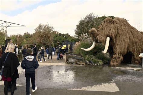 Ann E Record Pour Terra Botanica Avec Plus De Visiteurs Les